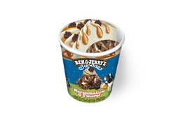 Ben & Jerry's Marshmallow & S'mores 427ml